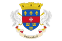 Saint Barthelemy flag
