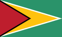 Guyana flag
