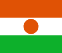 Niger flag